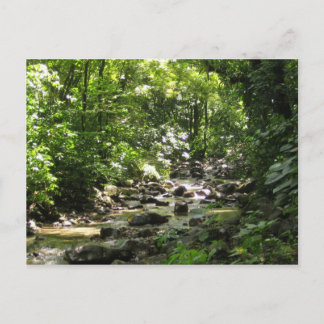 Habitation Céron 1 - Martinique, F.W.I. Postcard