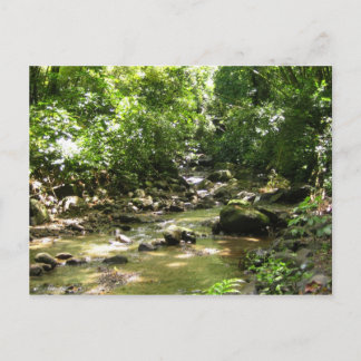 Habitation Céron 2 - Martinique, F.W.I. Postcard