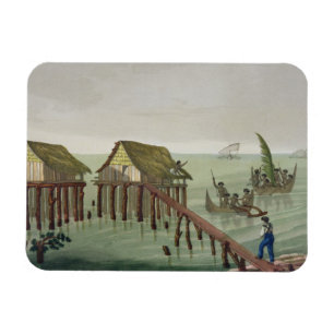 Habitations of the Papu Tribe, Rawak, plate 22 fro Magnet