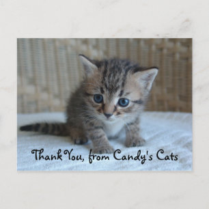 Habu Thank You Postcards