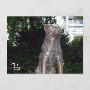hachiko dog shibuya postcard