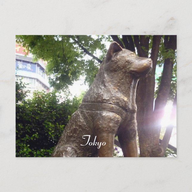 hachiko shibuya postcard (Front)