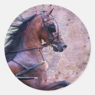 Hackney Grunge Classic Round Sticker