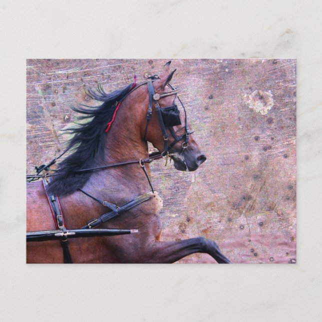 Hackney Grunge Postcard (Front)