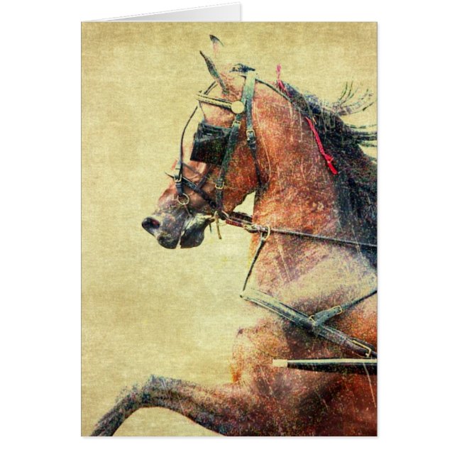 Hackney Pony (Front)