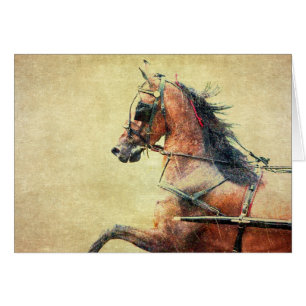 Hackney Pony Blank Inside Greeting Card