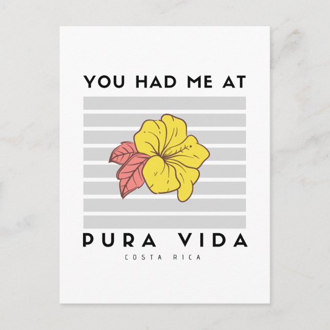 Had Me at Pura Vida Costa Rica Hibiscus Postcard (Front)