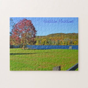 Haddam Meadows Puzzle