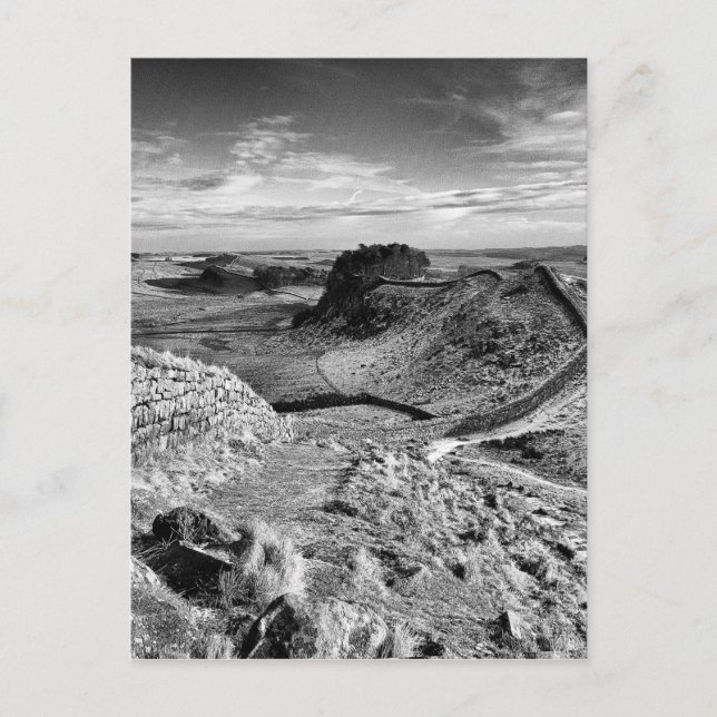 Hadrians Wall England Postcard (Front)