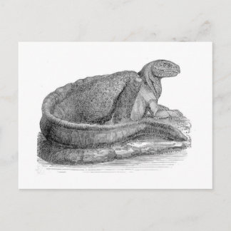Hadrosaurus Sculpture Antique Print Postcard