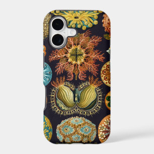Haeckel