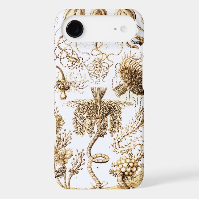 Haeckel (Back)