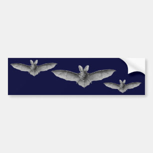 Haeckel Bats Bumper Sticker