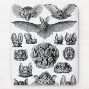 Haeckel Bats Mouse Pad