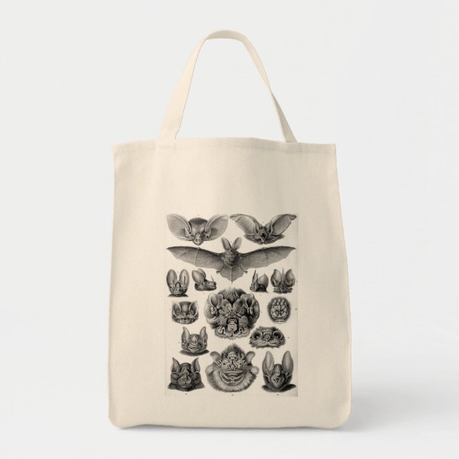 Haeckel Bats Tote Bag (Front)