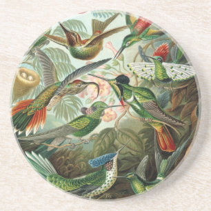 Haeckel Birds Coaster