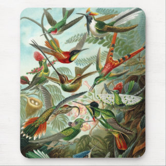 Haeckel Birds Mouse Pad