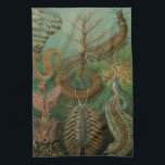 Haeckel Bugs Tea Towel<br><div class="desc">Haeckel bugs kitchen towel.</div>
