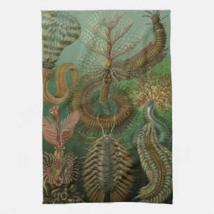 Haeckel Bugs Tea Towel