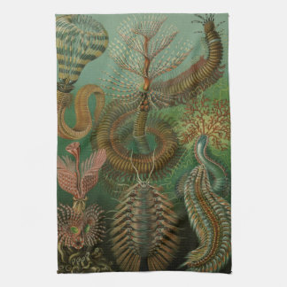 Haeckel Bugs Tea Towel