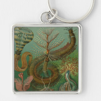 Haeckel Centipedes Key Ring