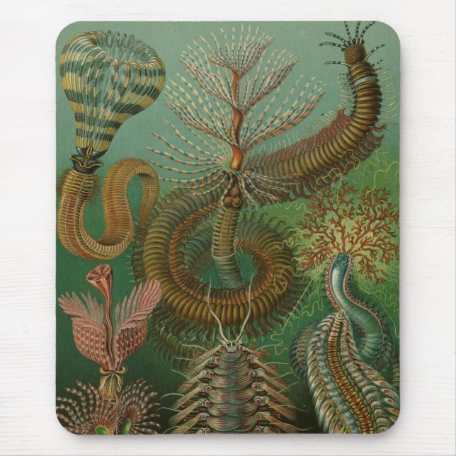 Haeckel Centipedes Mouse Pad (Front)