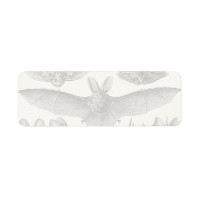 Haeckel Chiroptera Return Address Label (Front)