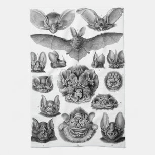 Haeckel Chiroptera Tea Towel