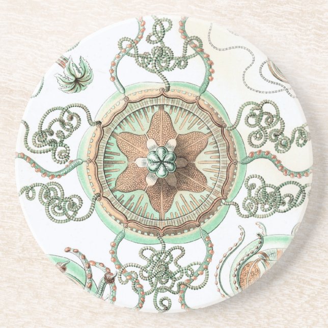 Haeckel Coaster (Front)