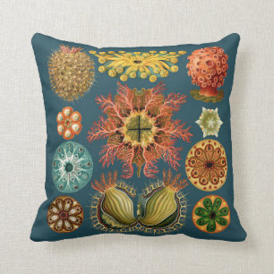 Haeckel Echinoderm pillow teal