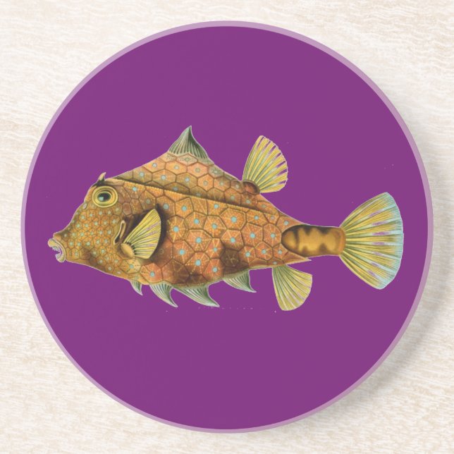 Haeckel Fish Coaster (Front)