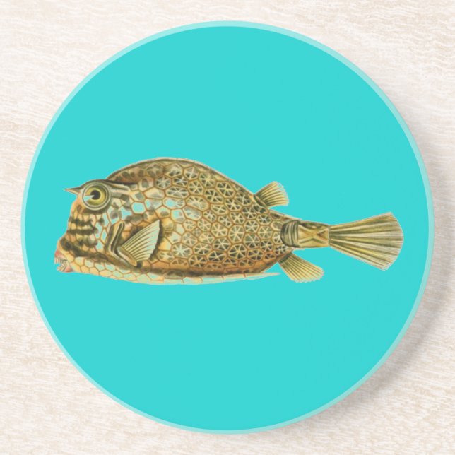 Haeckel Fish Coaster (Front)