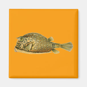 Haeckel Fish Magnet