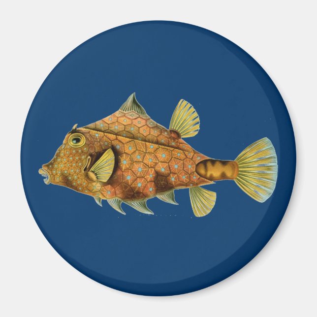 Haeckel Fish Magnet (Front)
