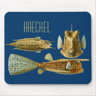Haeckel Fish Mouse Pad
