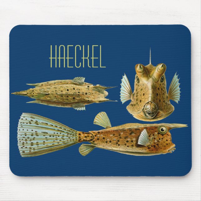 Haeckel Fish Mouse Pad (Front)