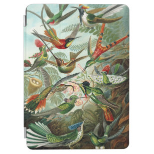 Haeckel Hummingbirds iPad case