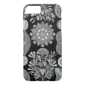 Haeckel iPhone 7 case - Diatomea