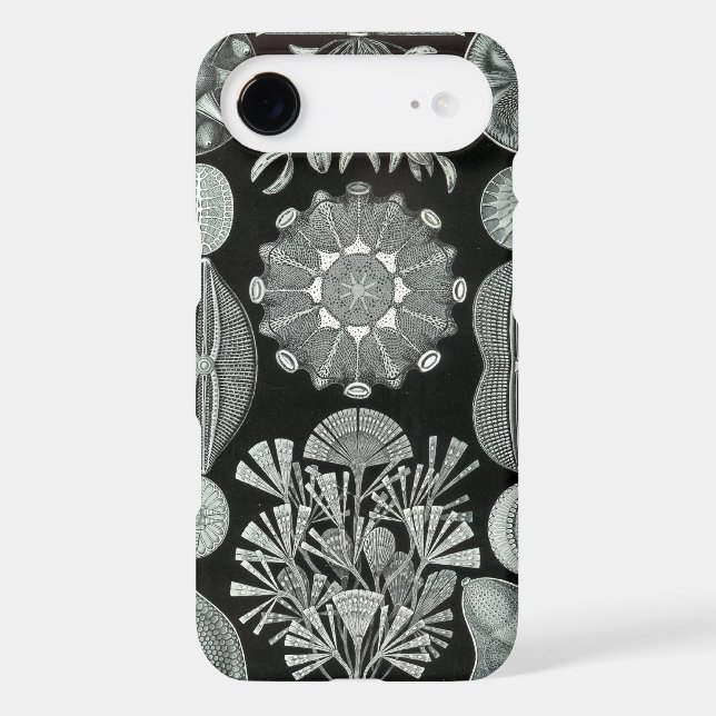Haeckel iPhone Case - Diatomea (Back)