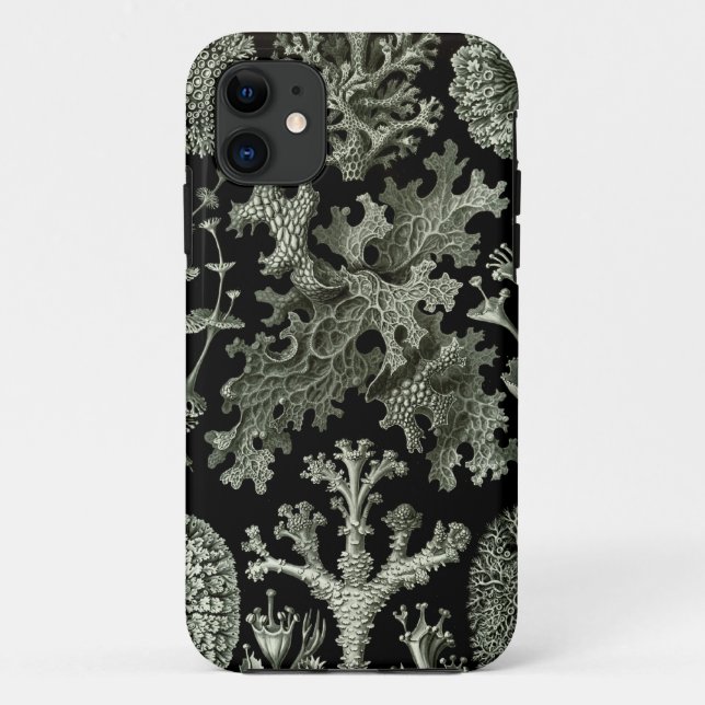 Haeckel iPhone Case - Lichenes (Back)