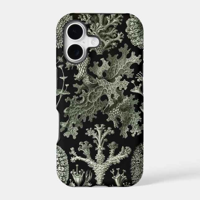 Haeckel iPhone Case - Lichenes (Back)