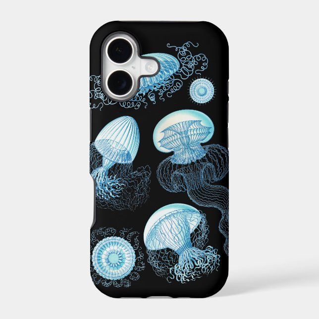 Haeckel Jellyfish (Back)