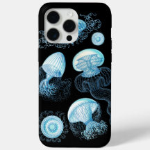 Haeckel Jellyfish