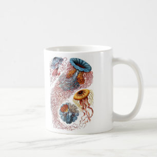 Haeckel Jellyfish Coffee Mug