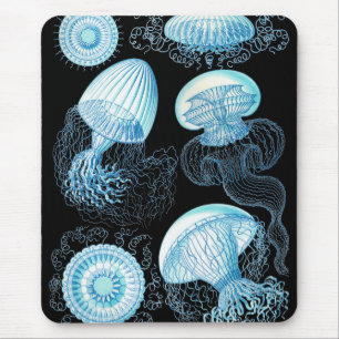 Haeckel Jellyfish Mouse Pad