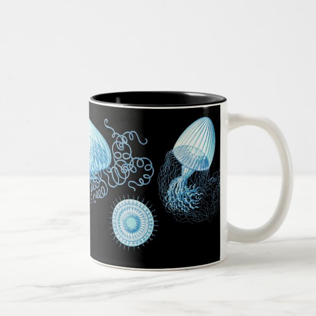Haeckel Jellyfish Two-Tone Coffee Mug (Right)
