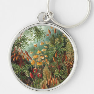 Haeckel Key Ring