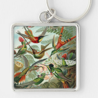 Haeckel Key Ring