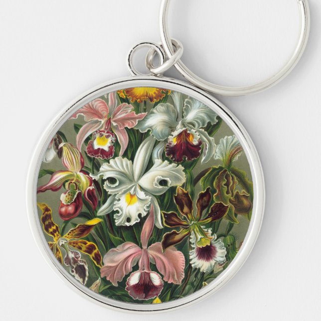 Haeckel Key Ring (Front)