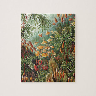 Haeckel Moss Grass Mushroom Painting Jigsaw Puzzle